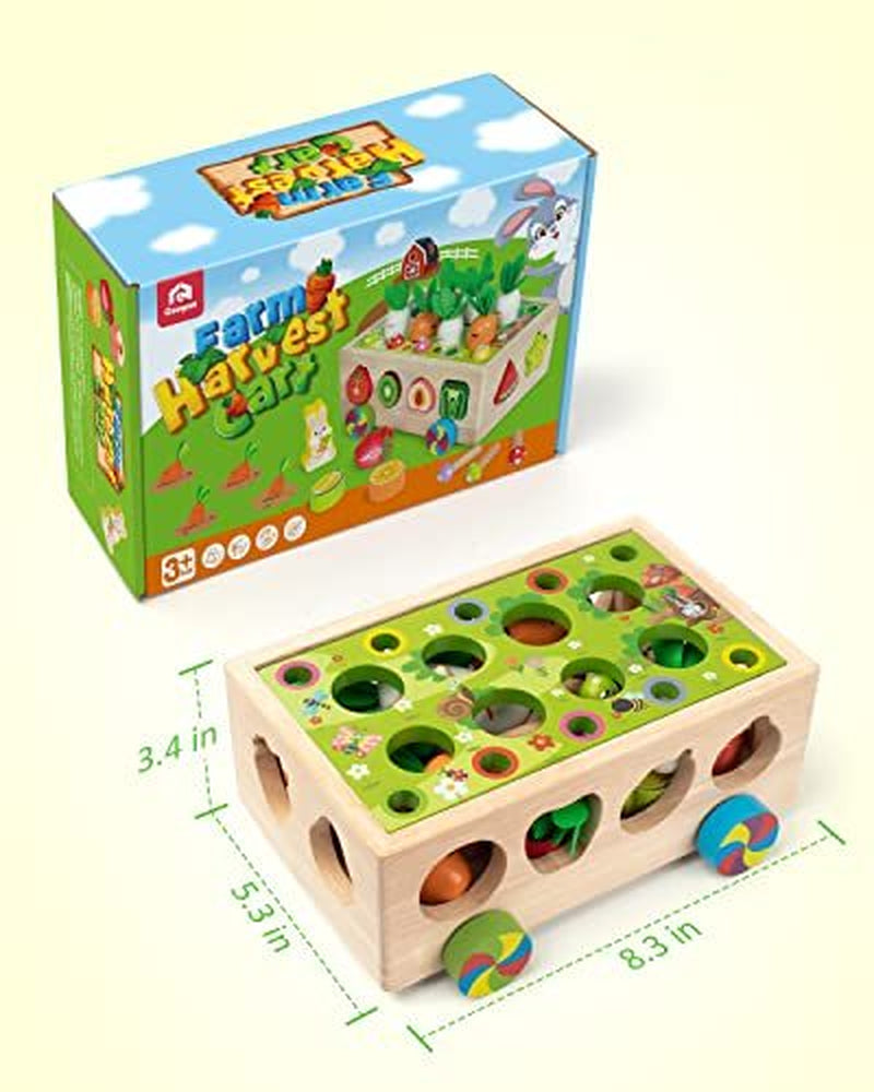 Montessori Toys for 1-4 Yr Old Kids, Wooden Educational Preschool Learning Toys