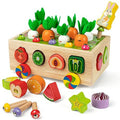 Montessori Toys for 1-4 Yr Old Kids, Wooden Educational Preschool Learning Toys