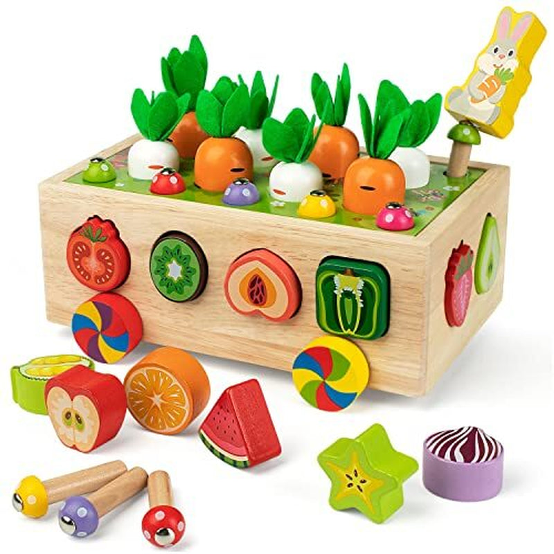Montessori Toys for 1-4 Yr Old Kids, Wooden Educational Preschool Learning Toys