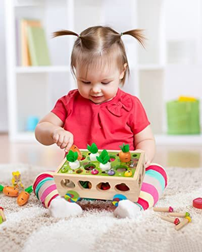 Montessori Toys for 1-4 Yr Old Kids, Wooden Educational Preschool Learning Toys