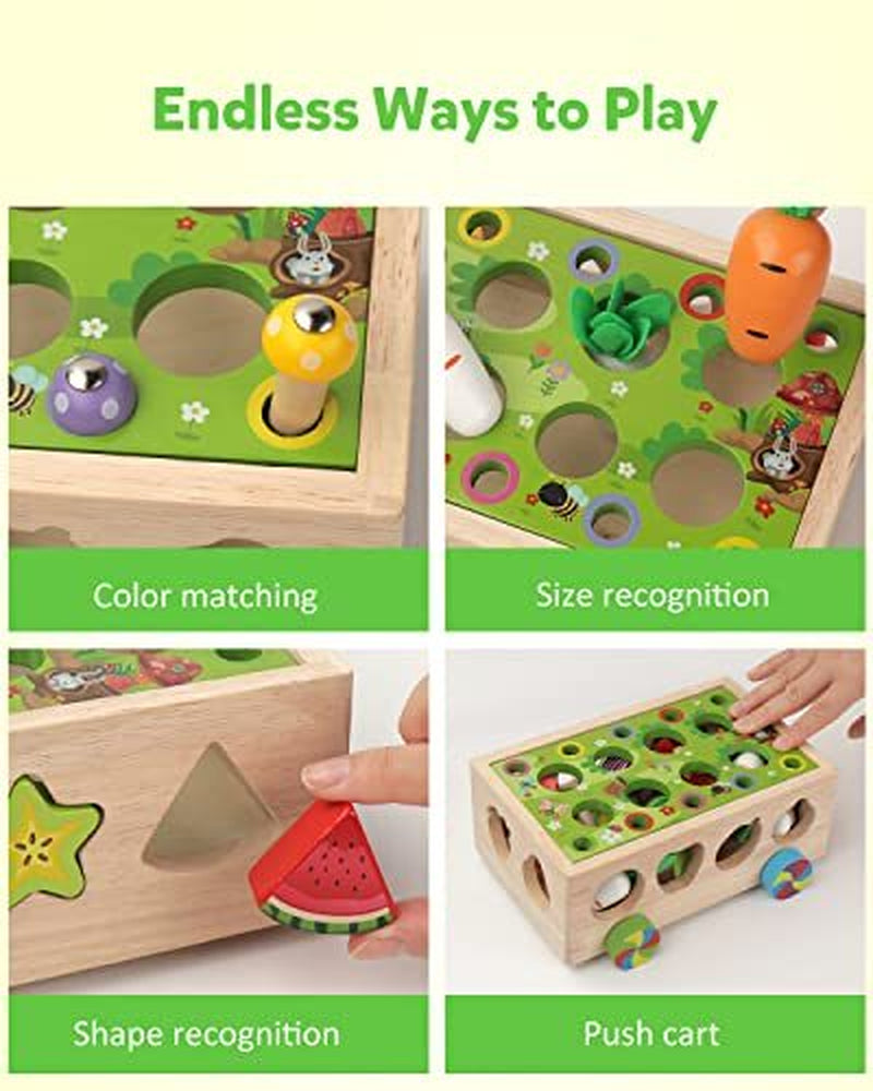 Montessori Toys for 1-4 Yr Old Kids, Wooden Educational Preschool Learning Toys