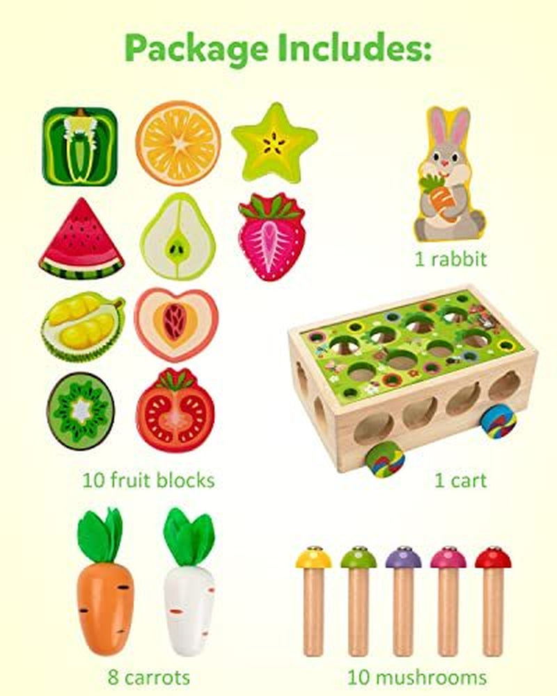 Montessori Toys for 1-4 Yr Old Kids, Wooden Educational Preschool Learning Toys