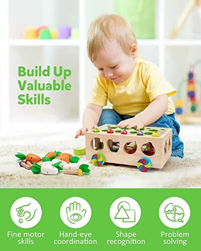 Montessori Toys for 1-4 Yr Old Kids, Wooden Educational Preschool Learning Toys