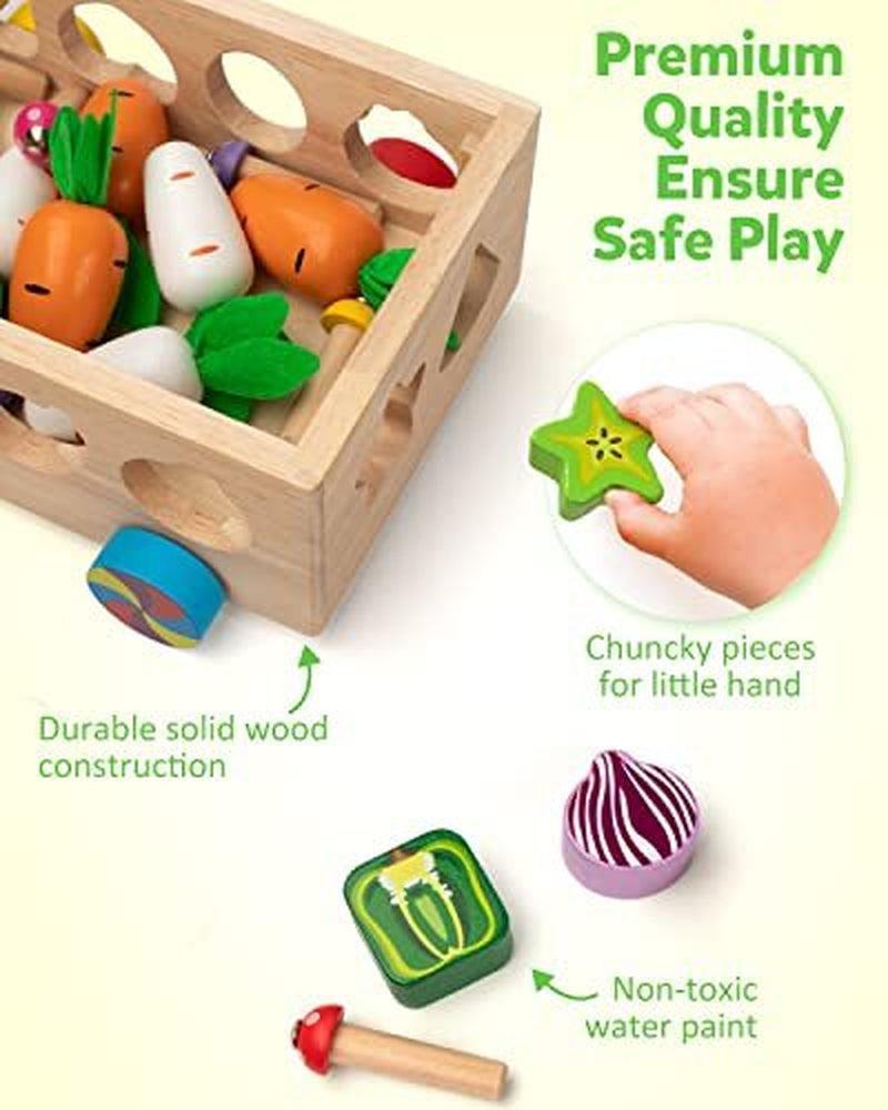 Montessori Toys for 1-4 Yr Old Kids, Wooden Educational Preschool Learning Toys